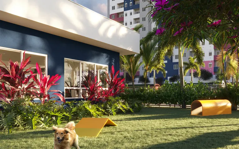 Espaço pet cercado com brinquedos para cães